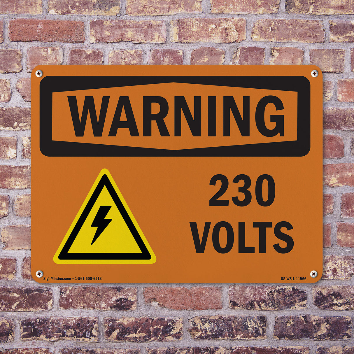 230 Volts With Symbol