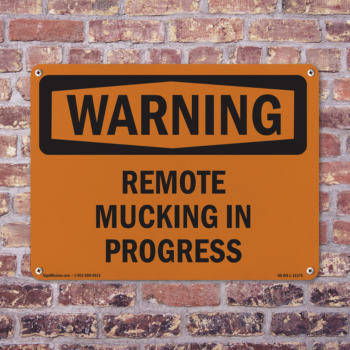 Remote Mucking In Progress