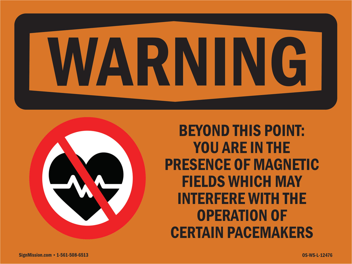 Beyond This Point Magnetic Fields Spanish