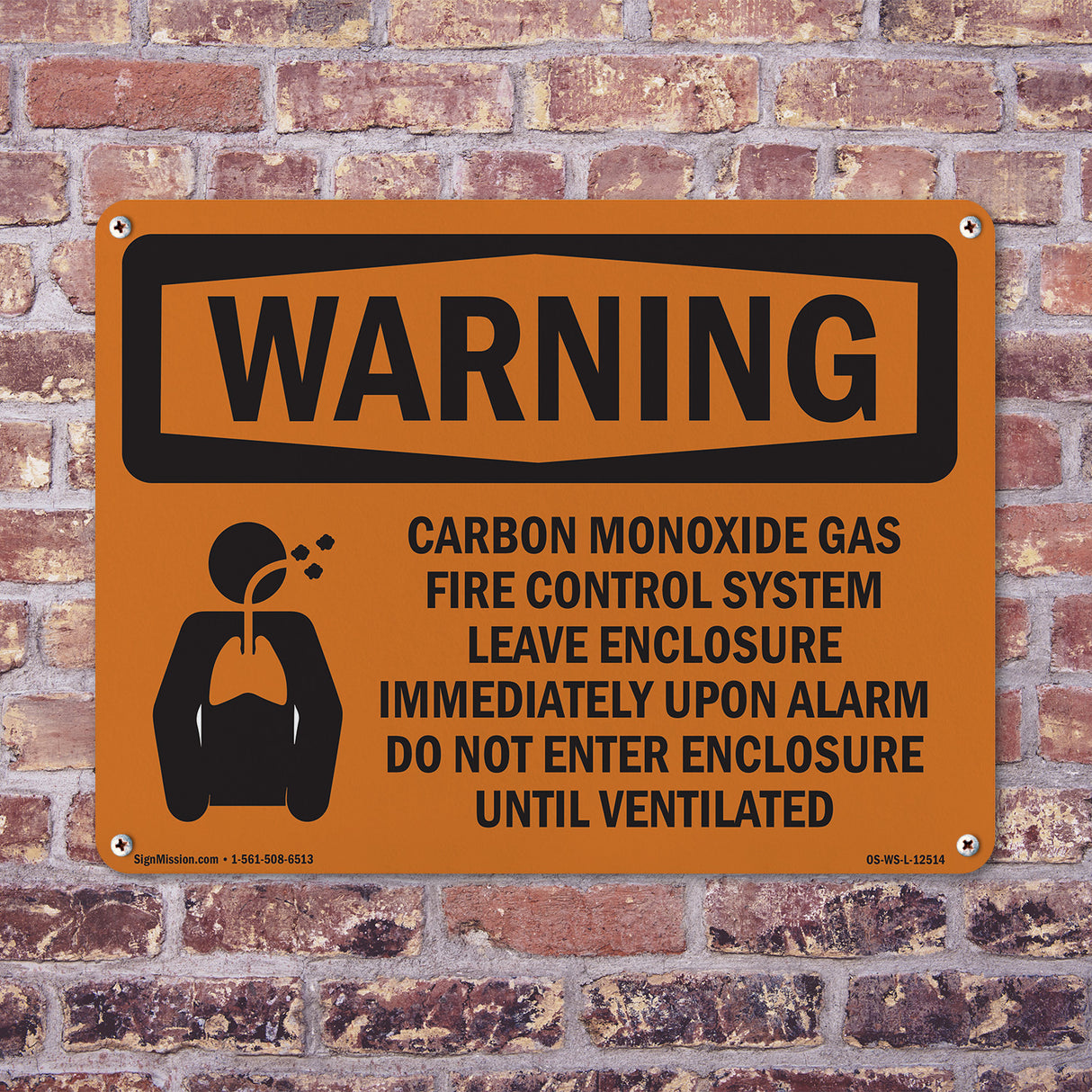Carbon Dioxide Gas Fire With Symbol