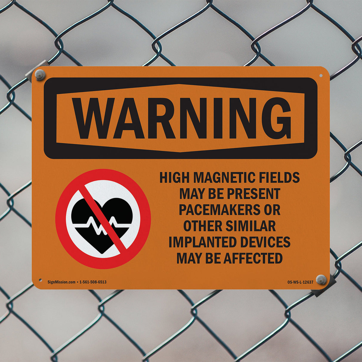 High Magnetic Fields Pacemakers Bilingual