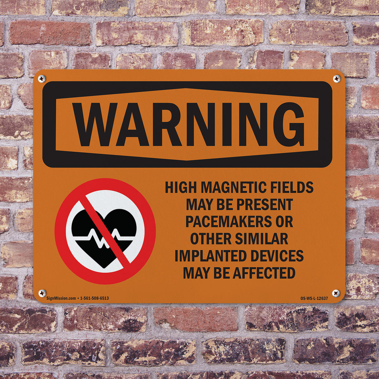 High Magnetic Fields Pacemakers Bilingual