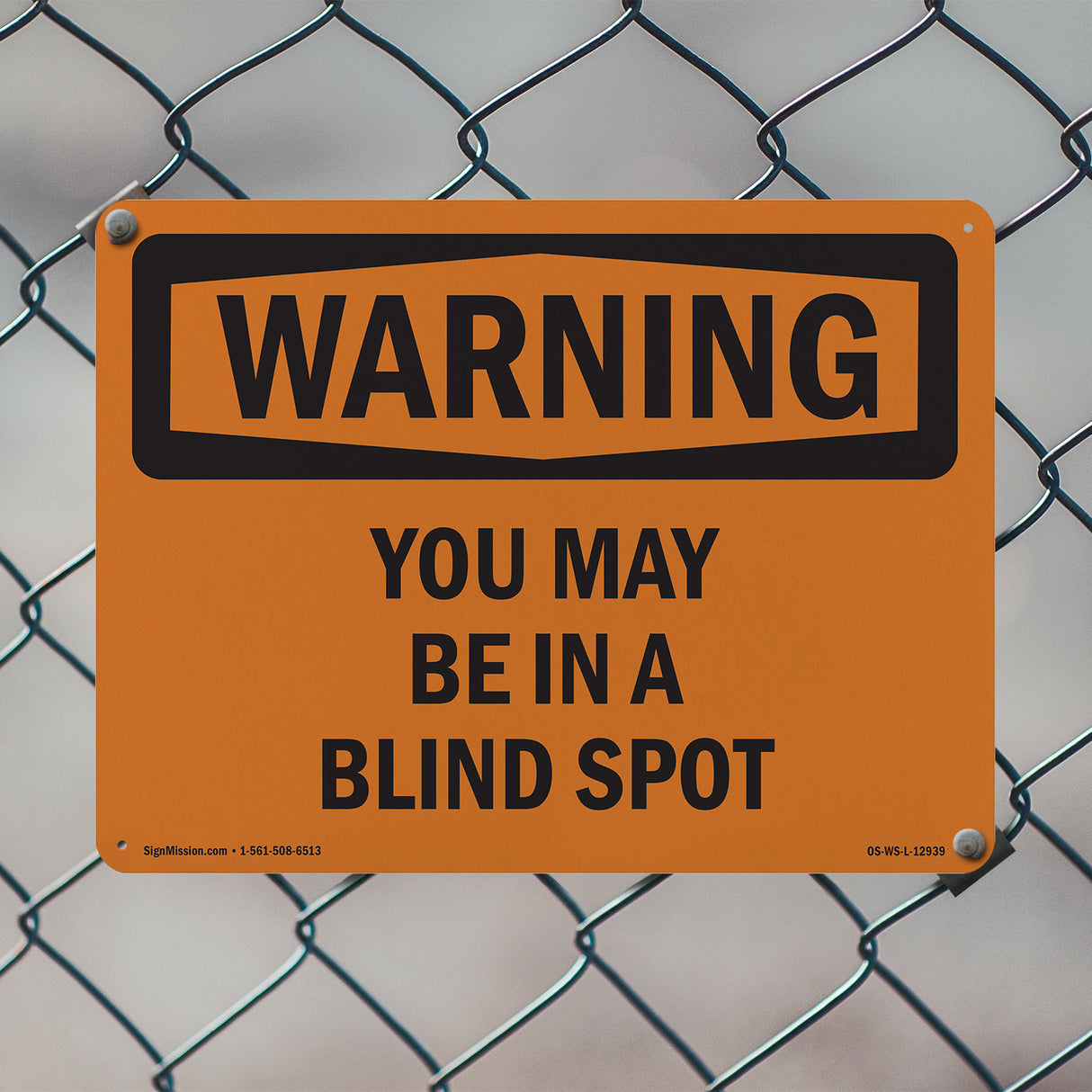 You May Be In A Blind Spot