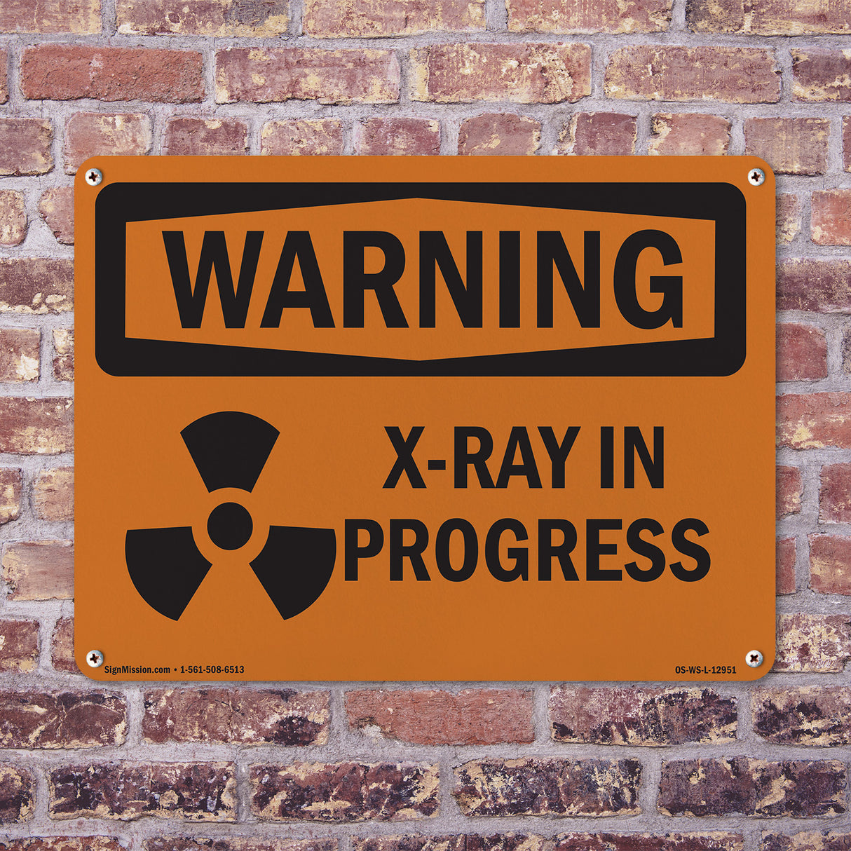 X-Ray In Progress With Symbol