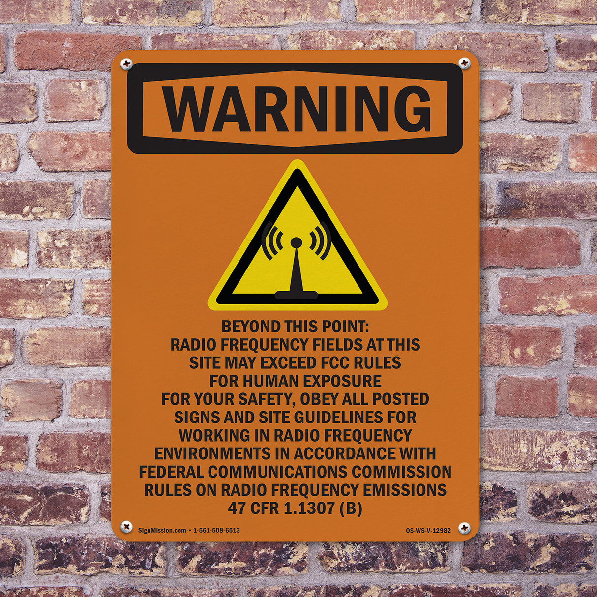 Beyond This Point Radio Frequency Bilingual