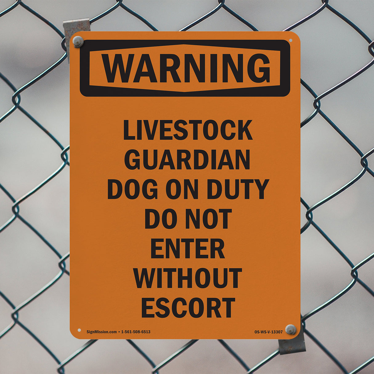 Livestock Guardian Dog On Duty Do Not Enter