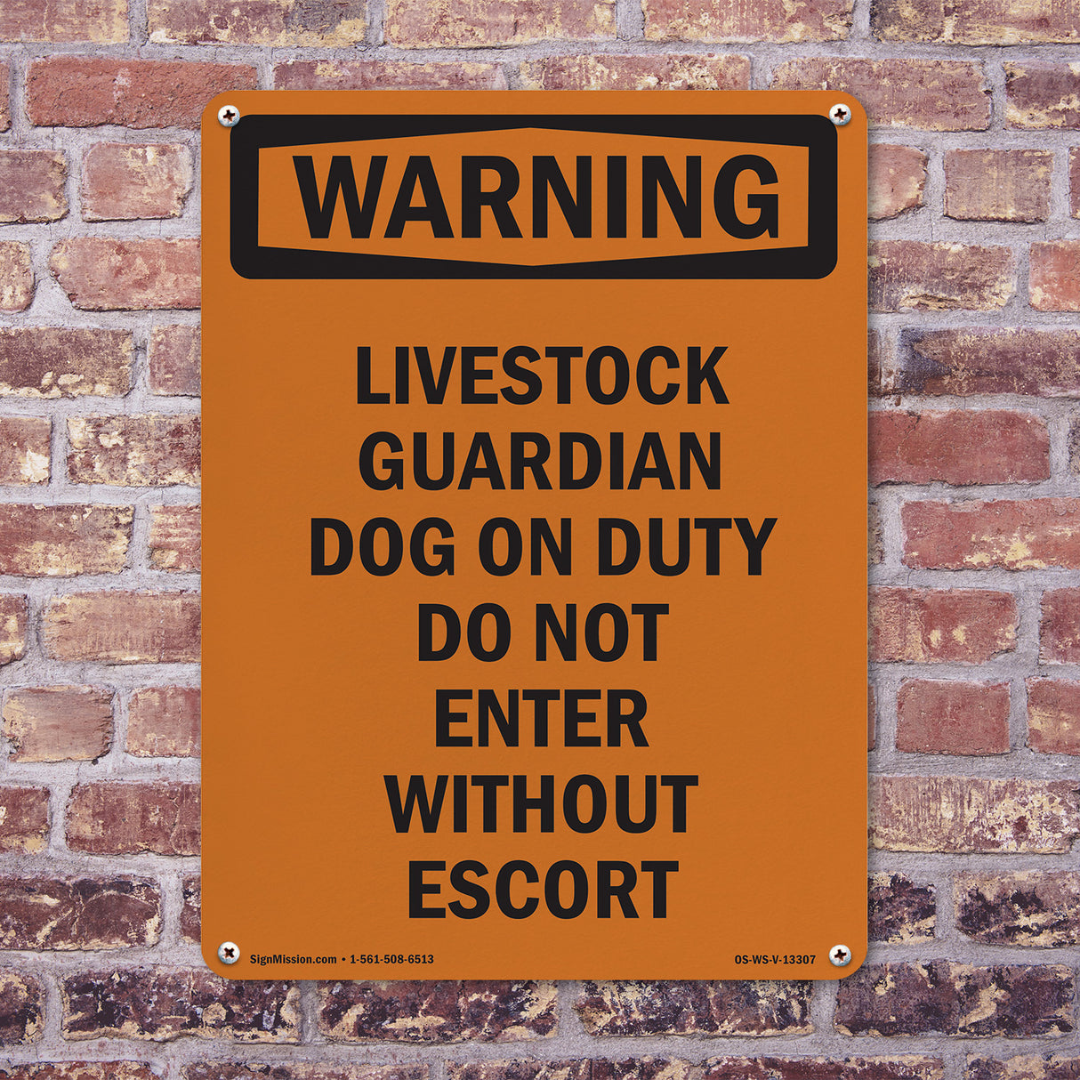 Livestock Guardian Dog On Duty Do Not Enter