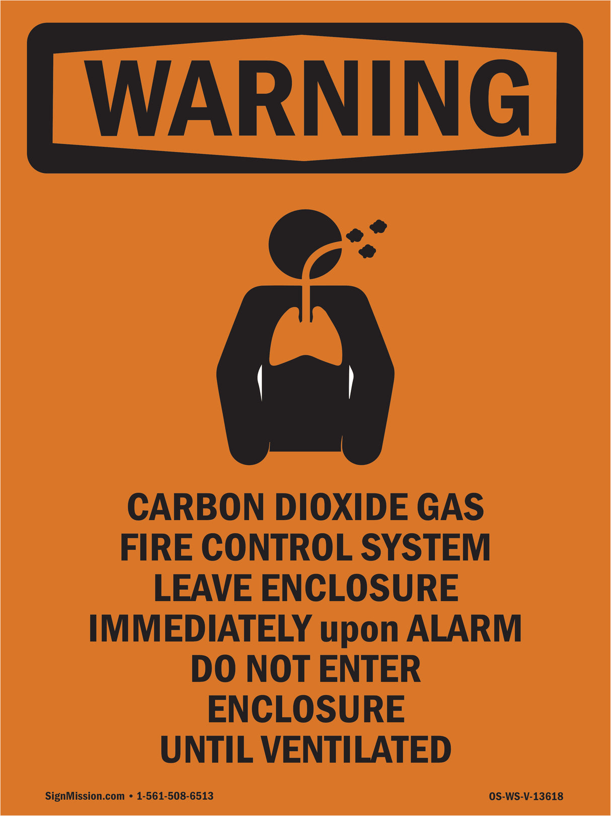 Carbon Dioxide Gas Fire With Symbol
