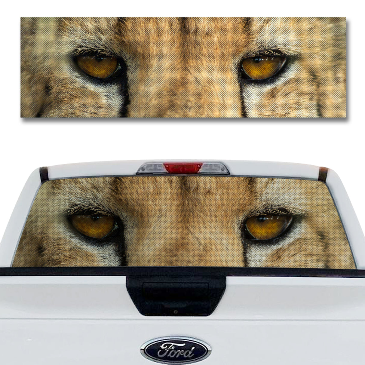 Cheetah Eyes