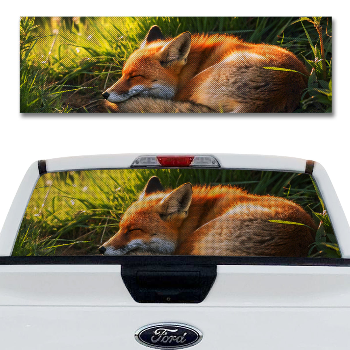 Fox Dreams