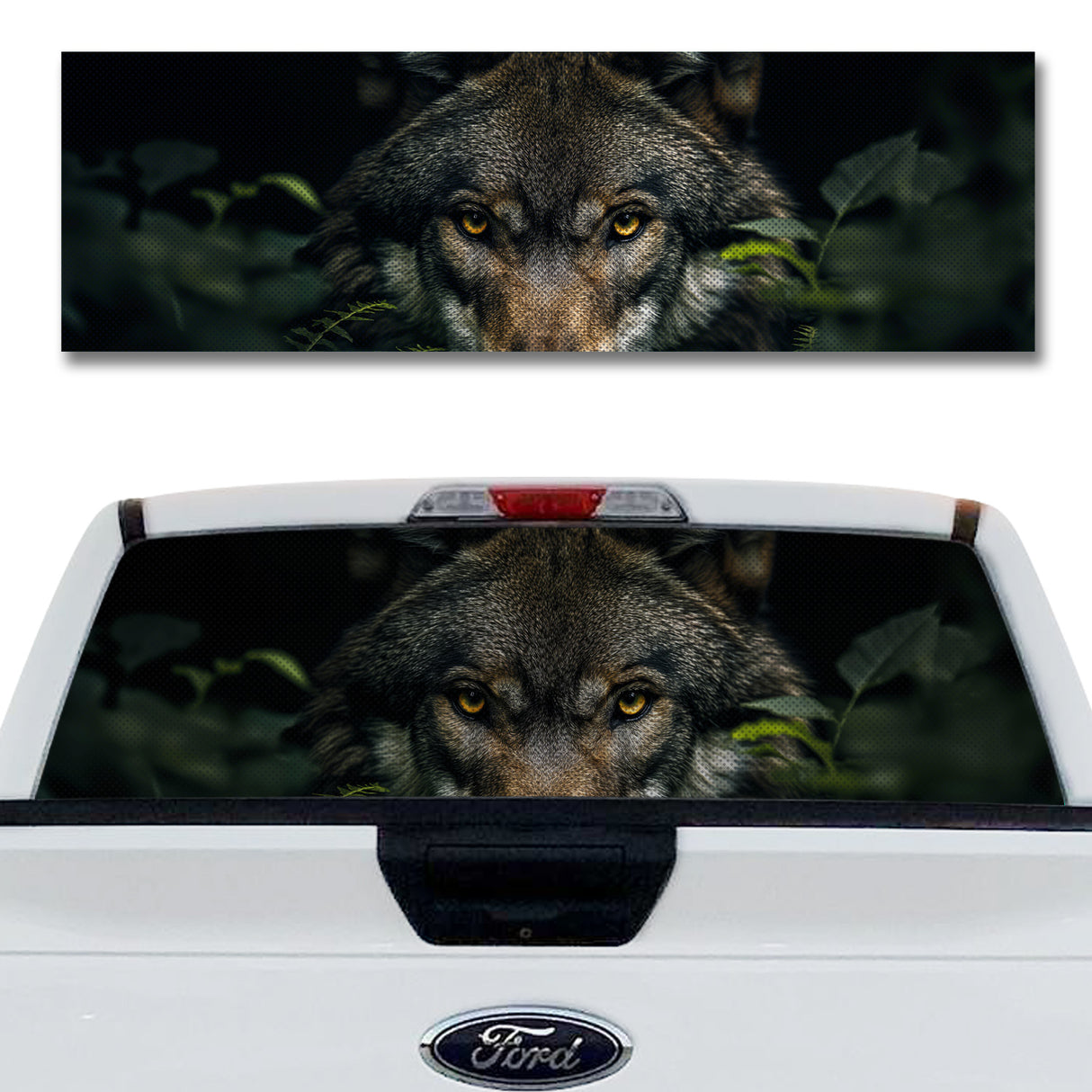 Natural Predator