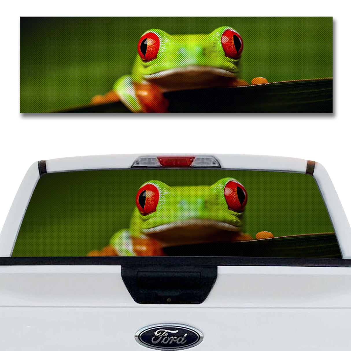 Red Eyes Green Frog