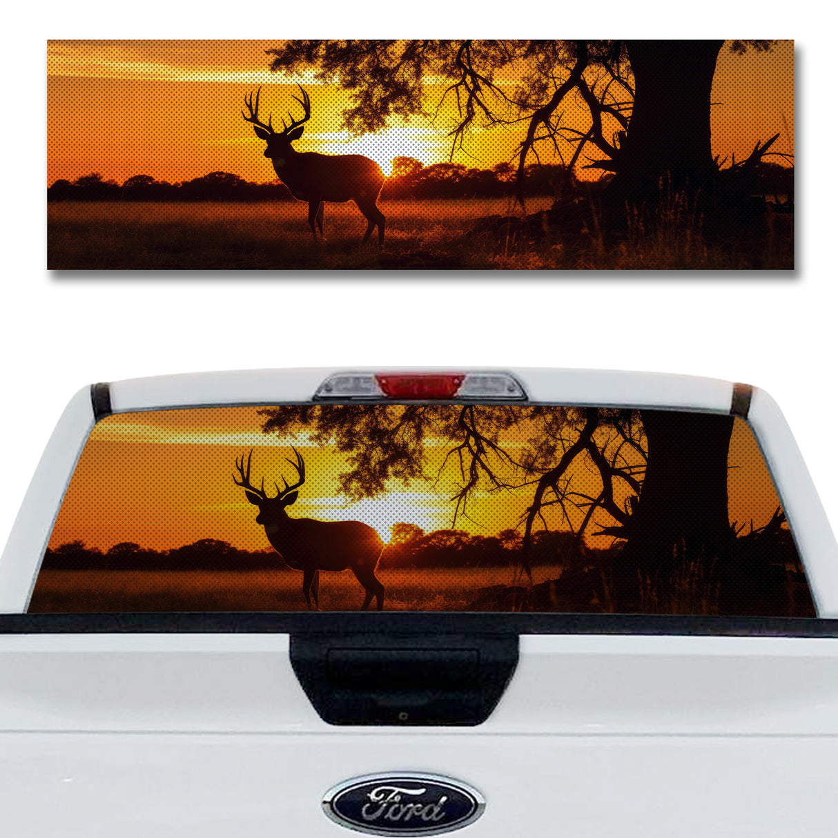 Sunset Deer