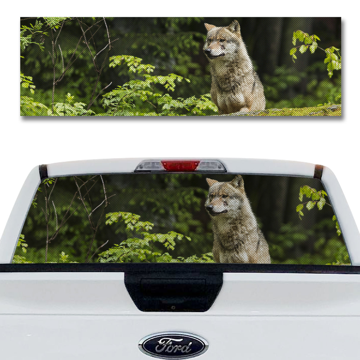 Wolf Watching Over