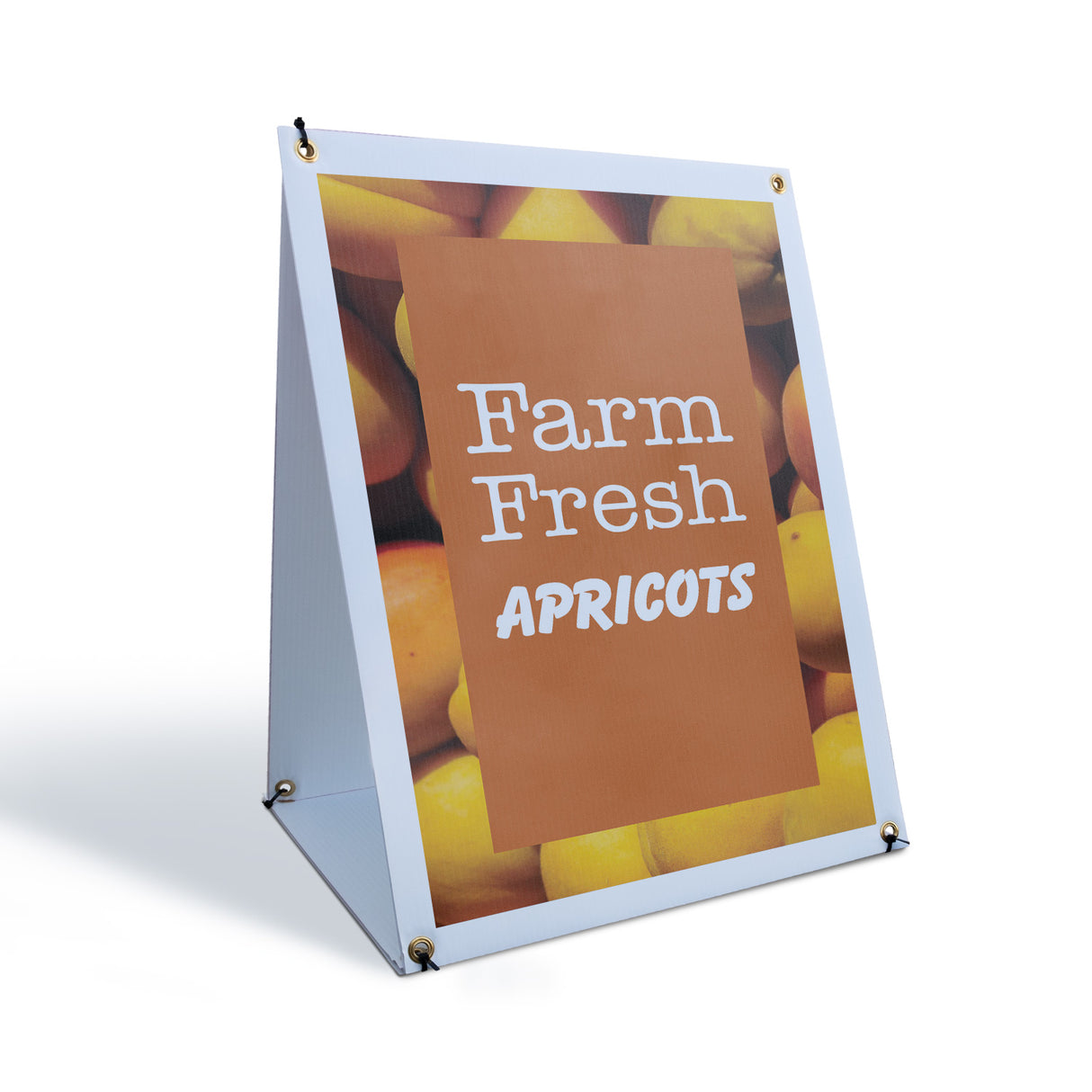 Farm Fresh Apricots