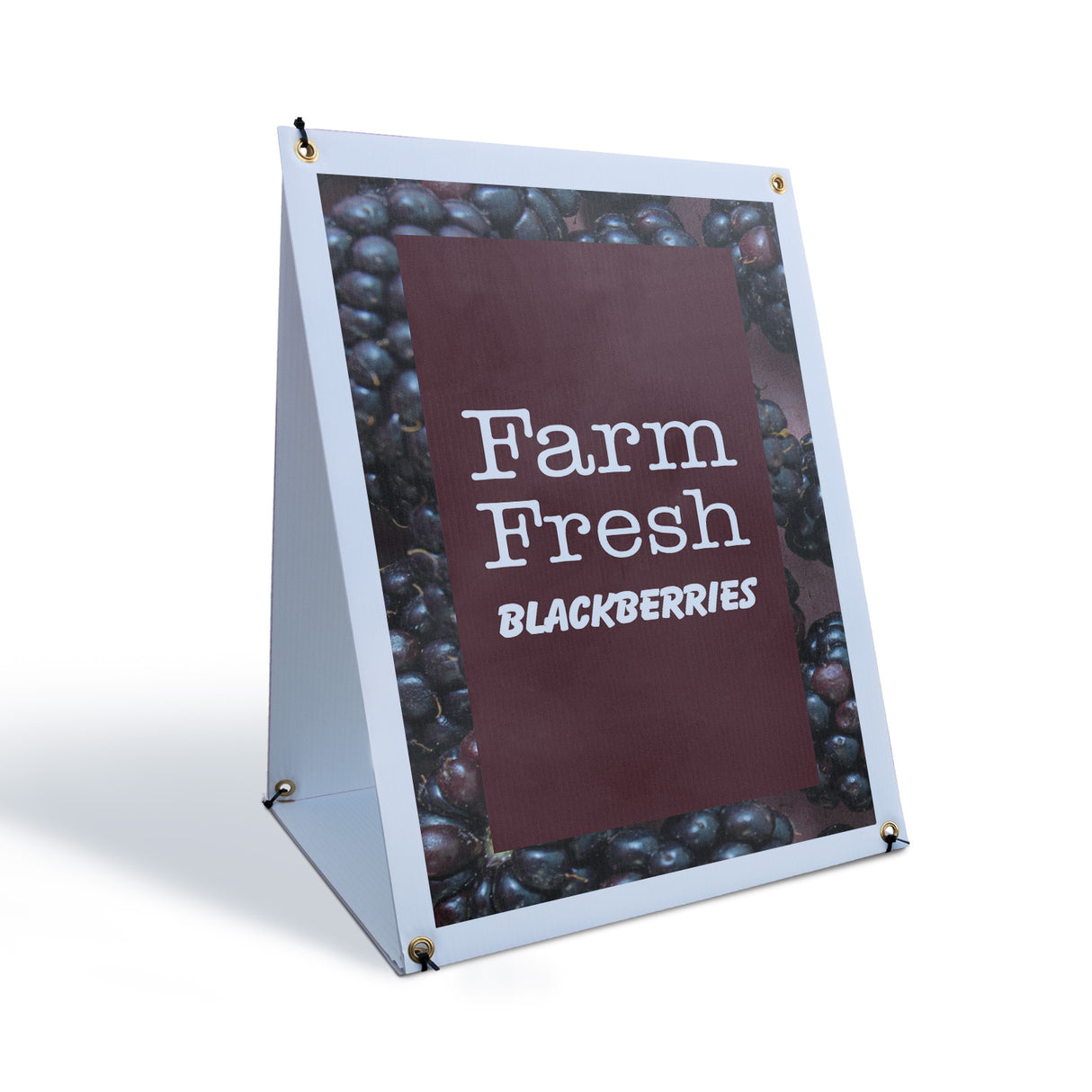 Farm Fresh Blackberries