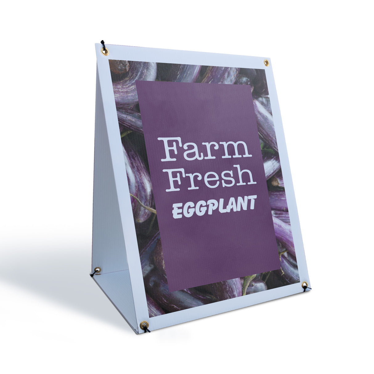 Farm Fresh Eggplant