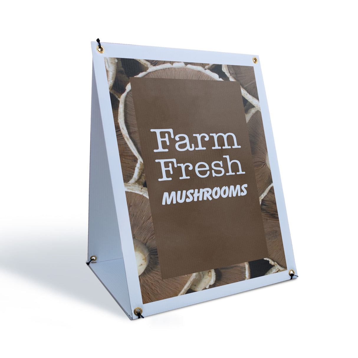 Farm Fresh Mushrooms