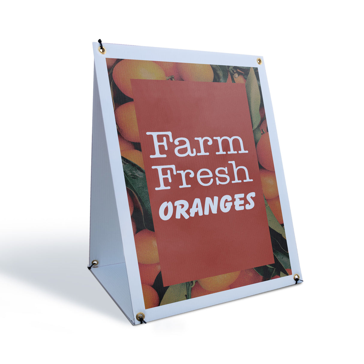 Farm Fresh Oranges