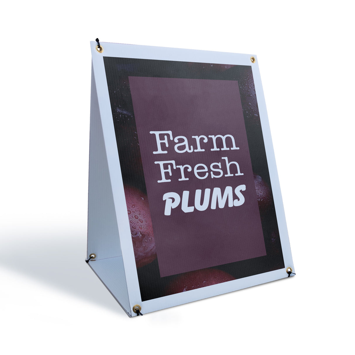 Farm Fresh Plums