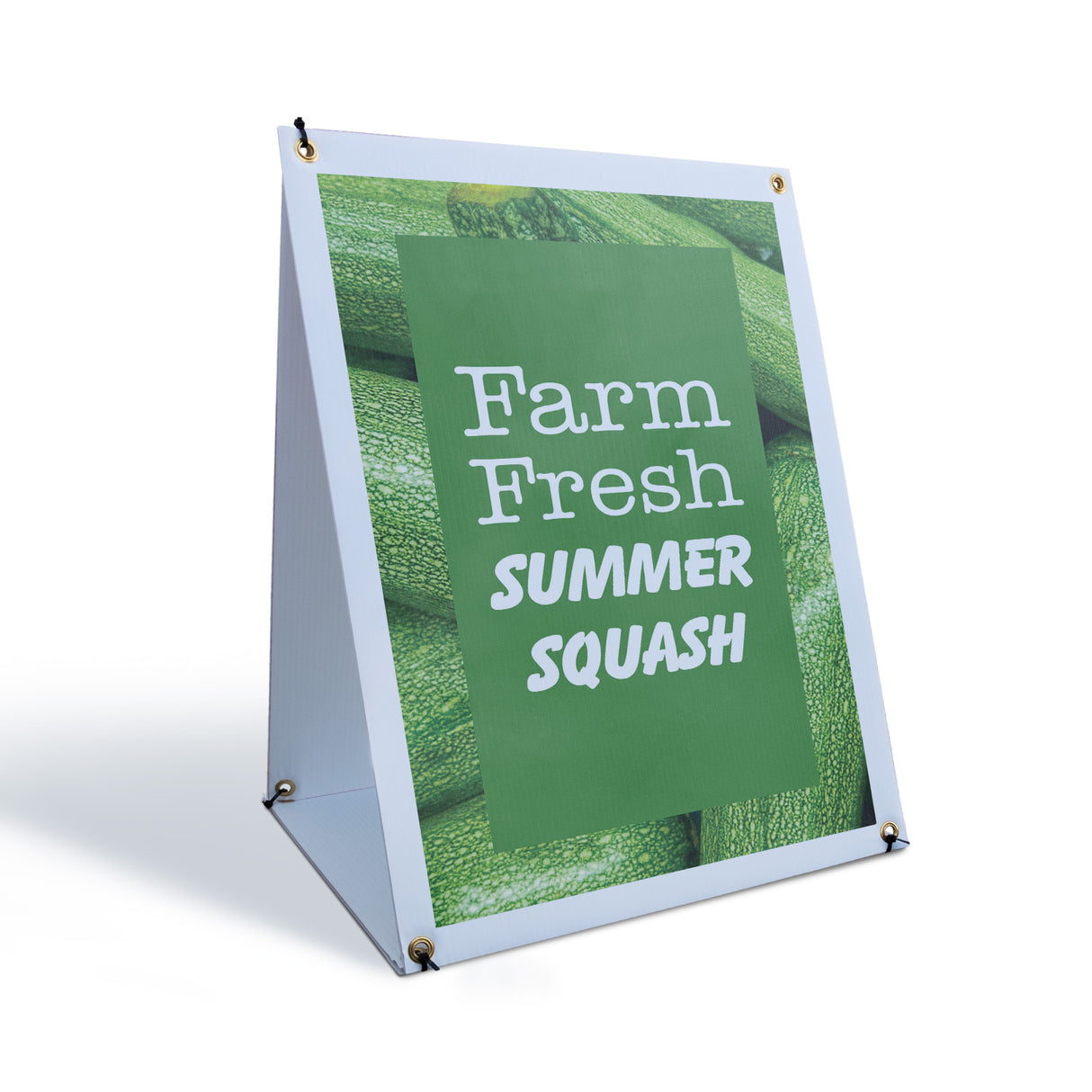 Farm Fresh Summer Squash