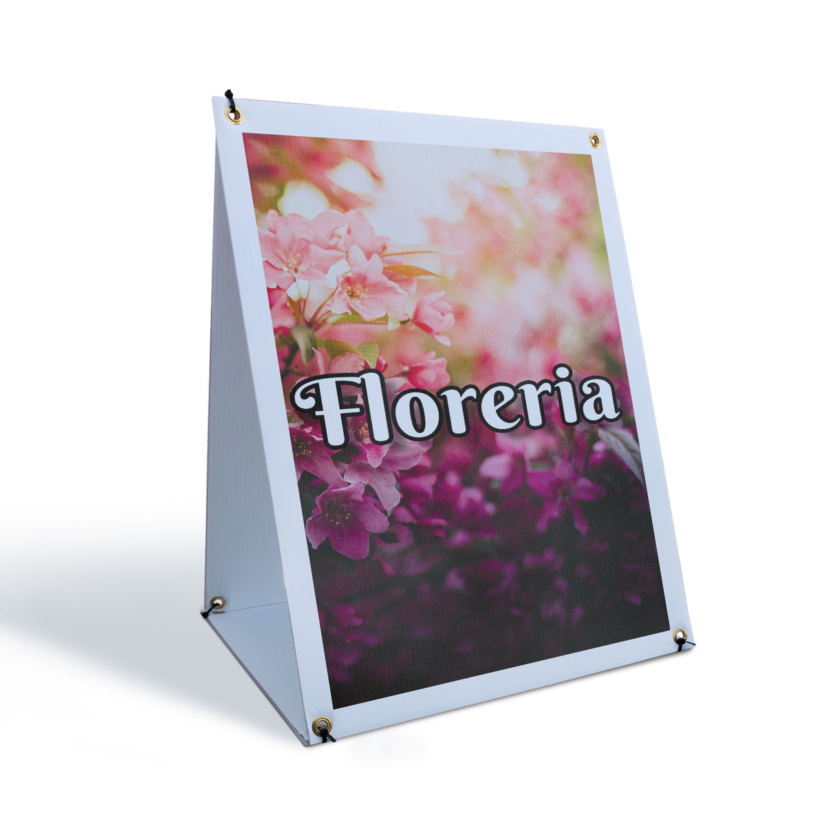Floreria