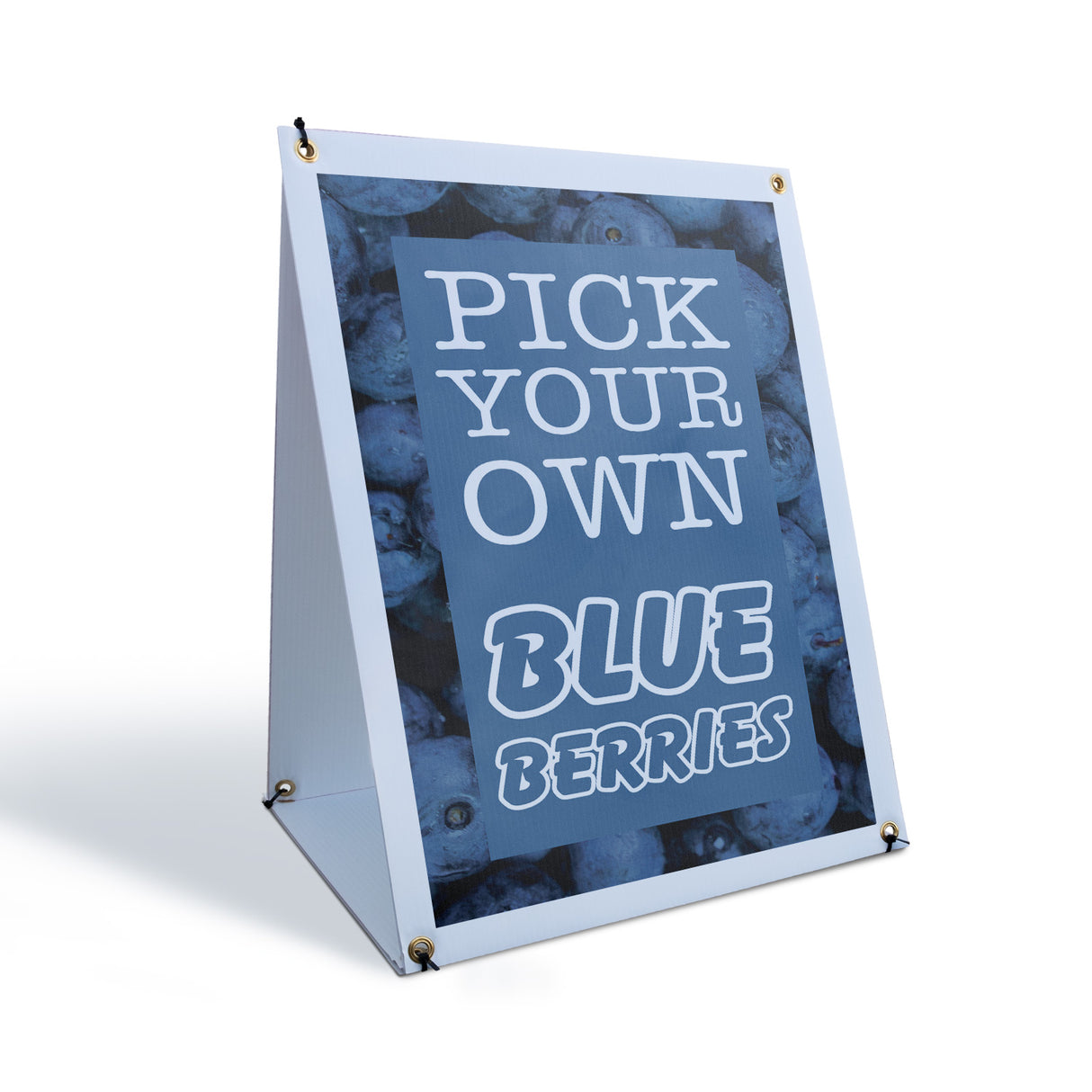 Pick Your Own Blueberries