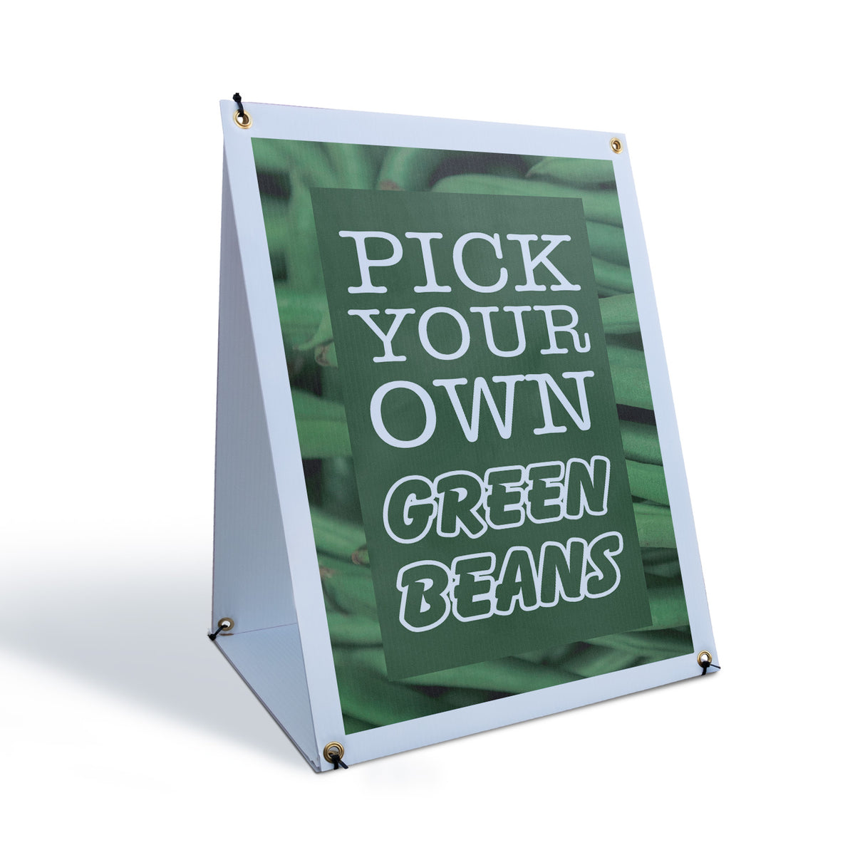 Pick Your Own Green Beans