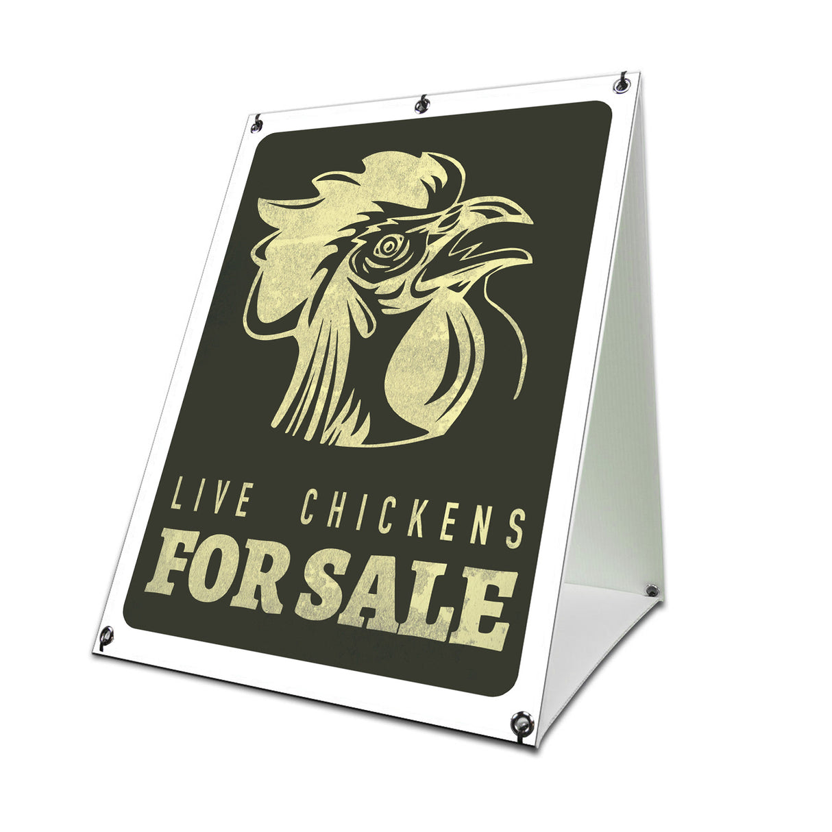 Live Chickens