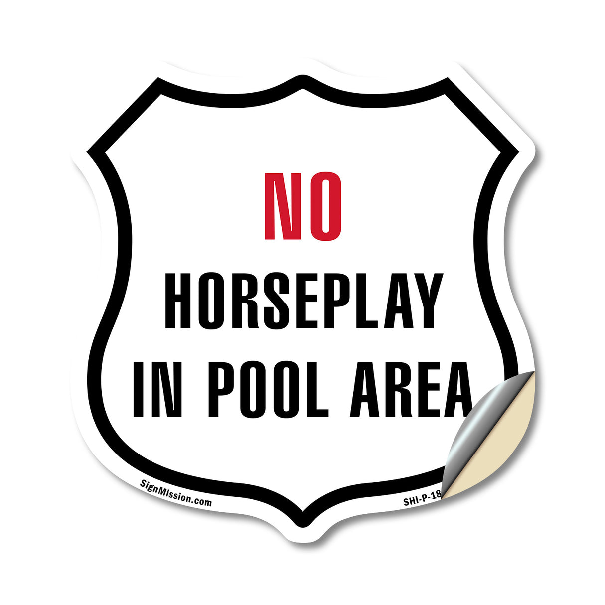 No Horseplay in the Pool Area