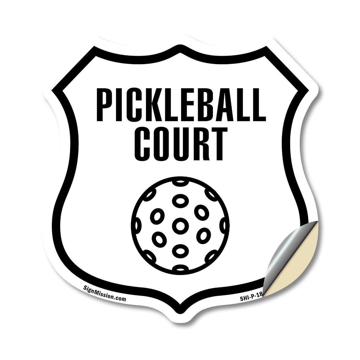 Pickleball Court