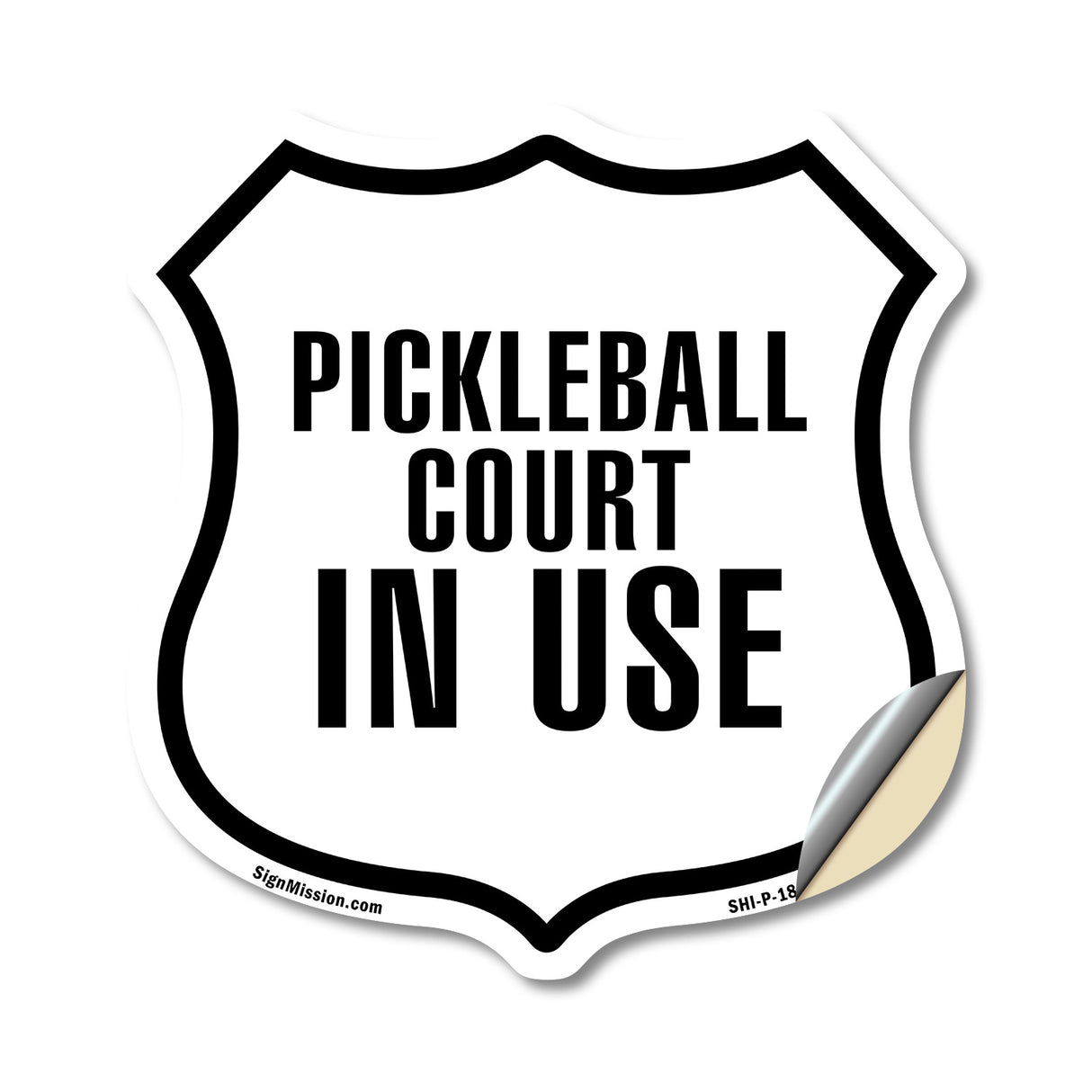 Pickleball court in Use