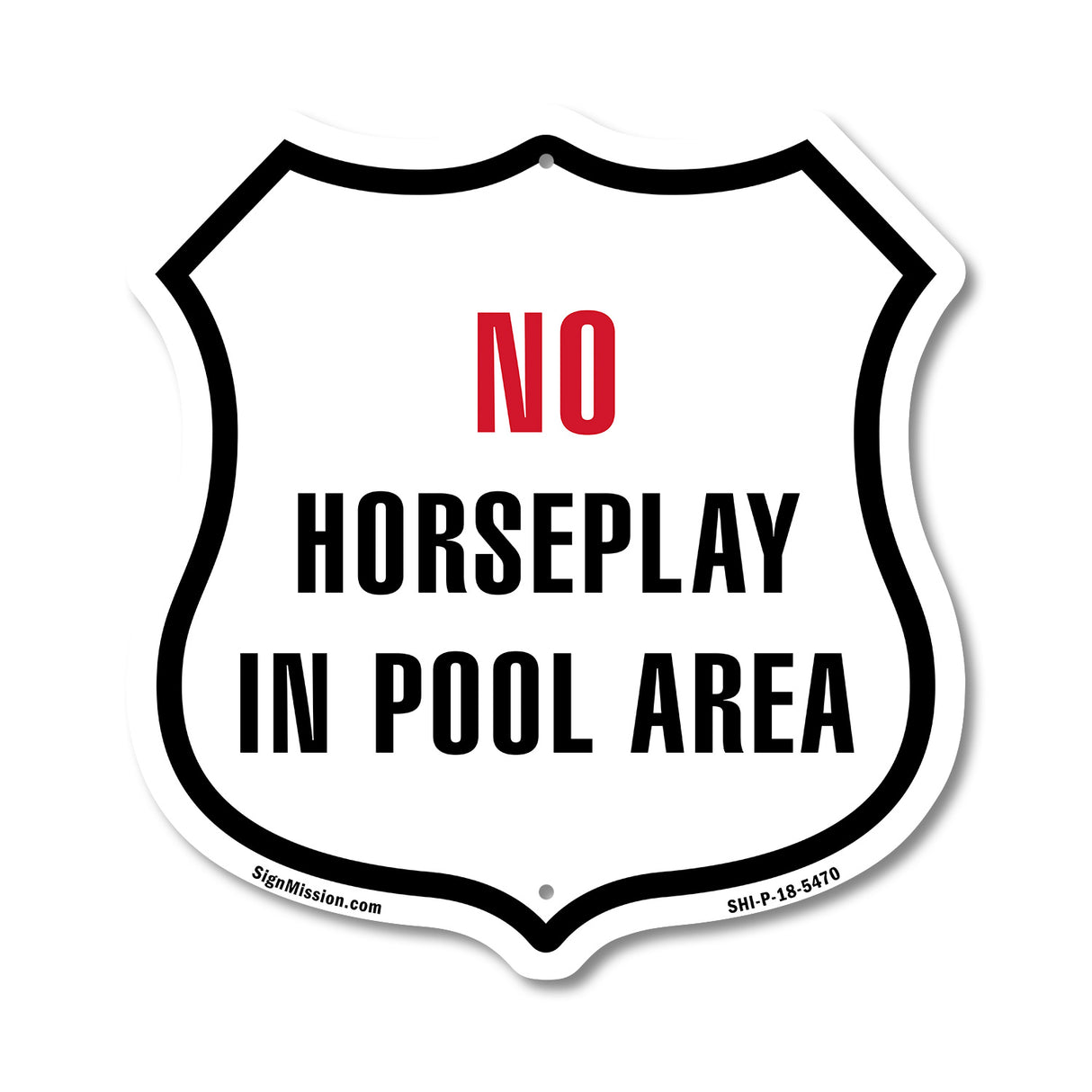 No Horseplay in the Pool Area
