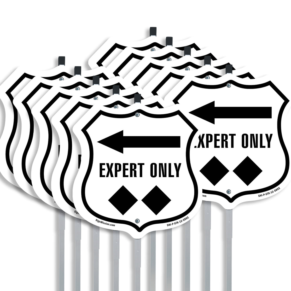 Expert Only Trail Ski Slope Left