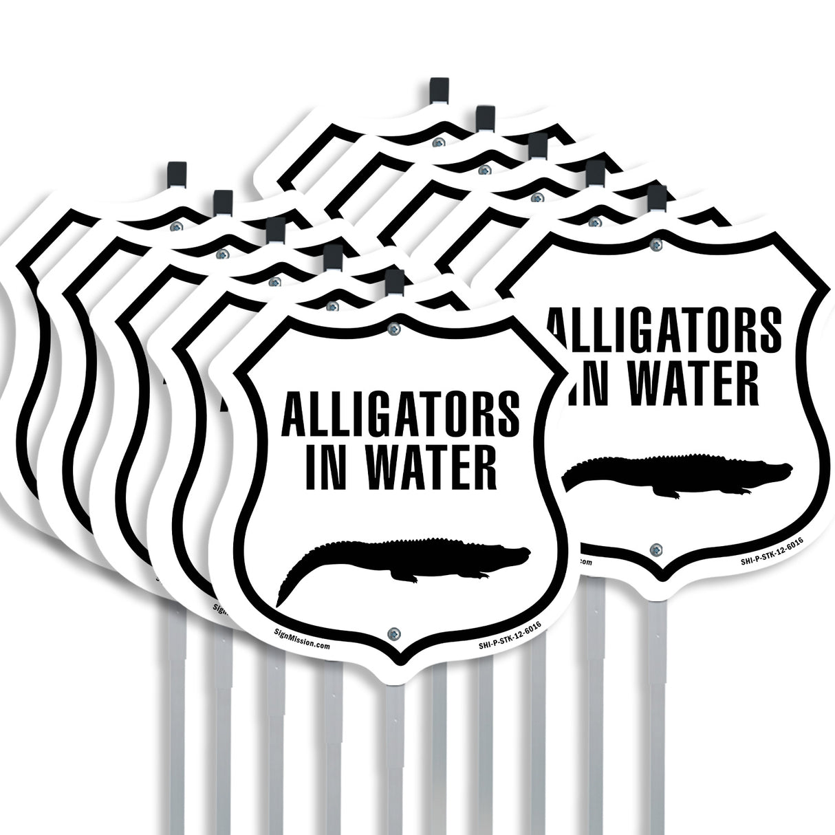Alligators in water