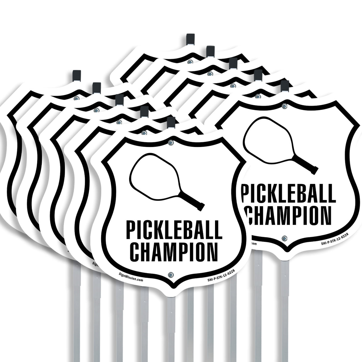 Pickleball Champion