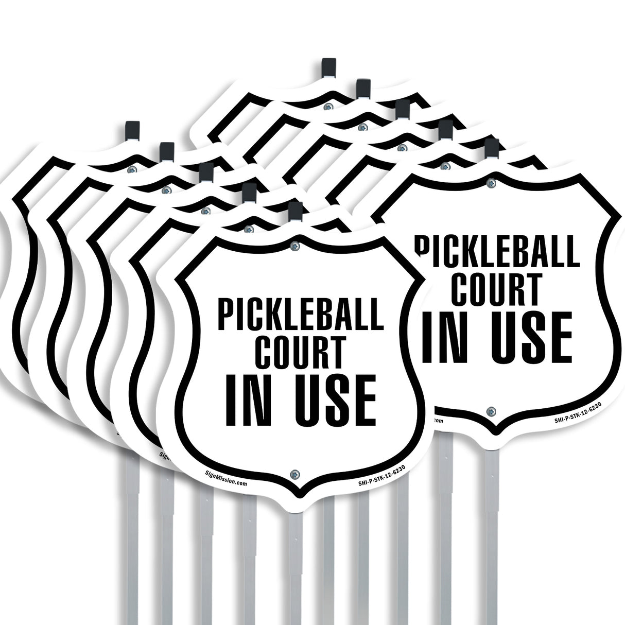 Pickleball court in Use