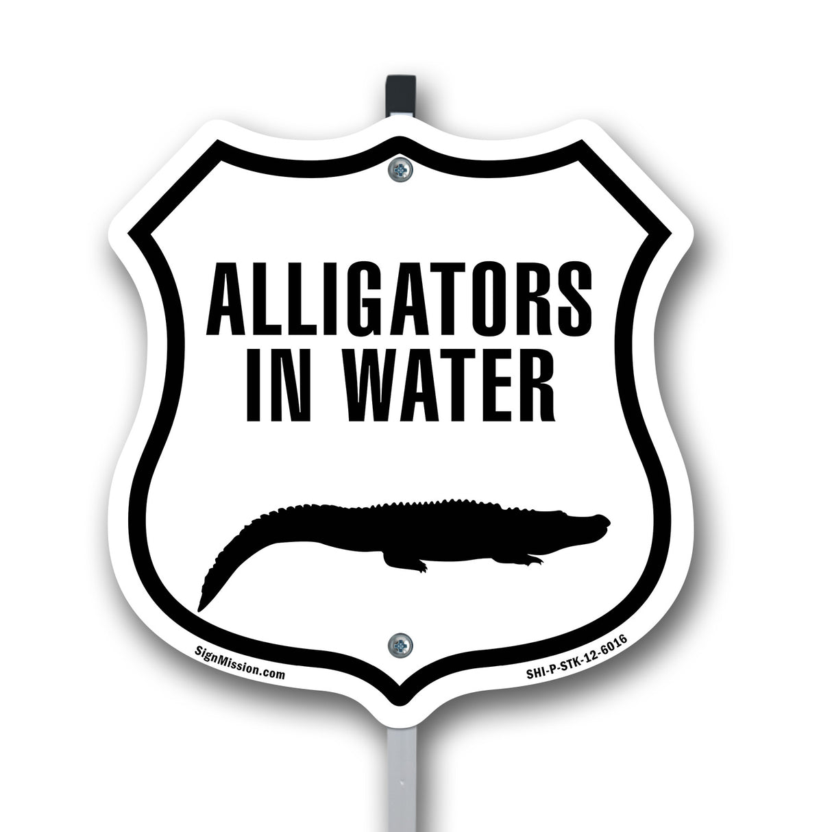 Alligators in water