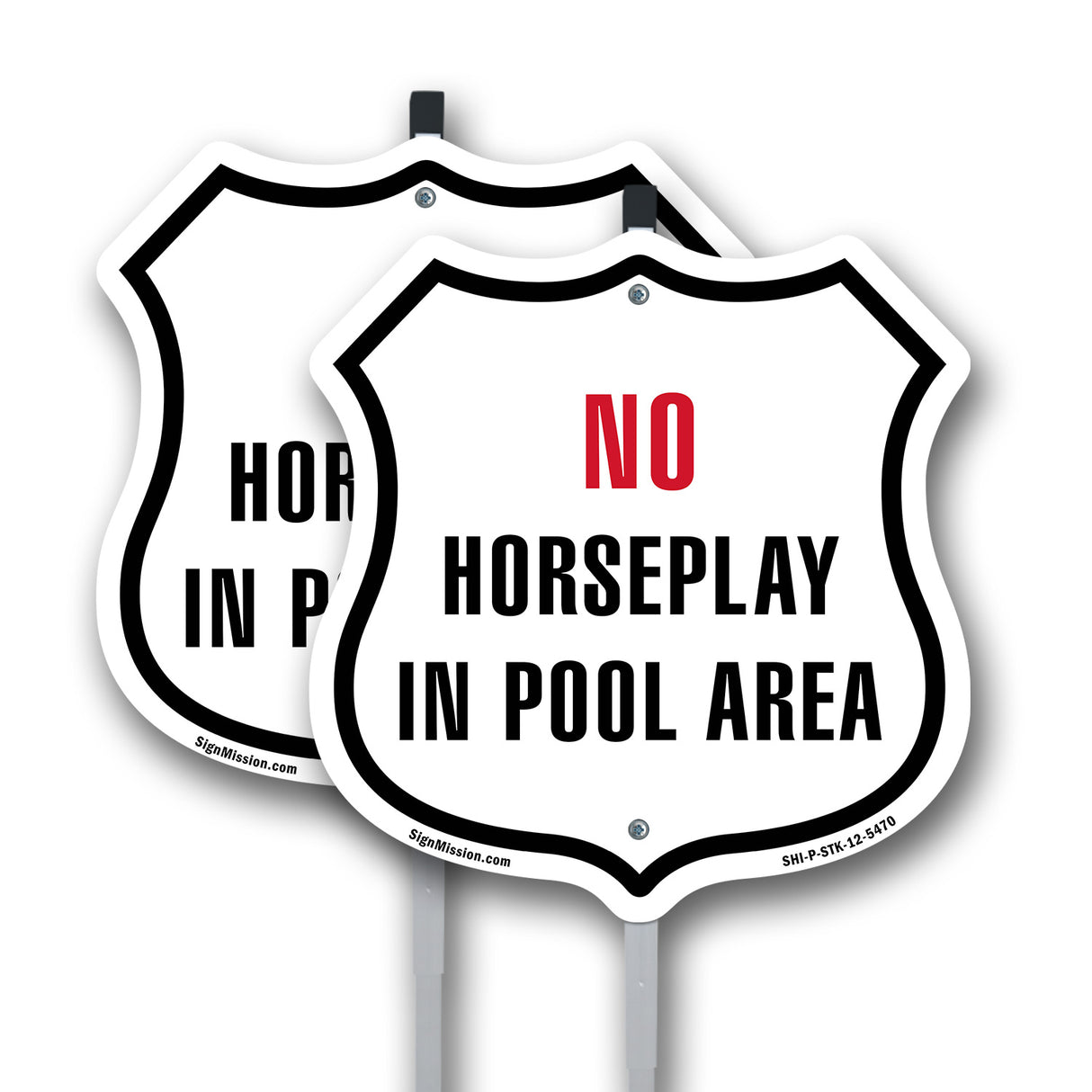 No Horseplay in the Pool Area