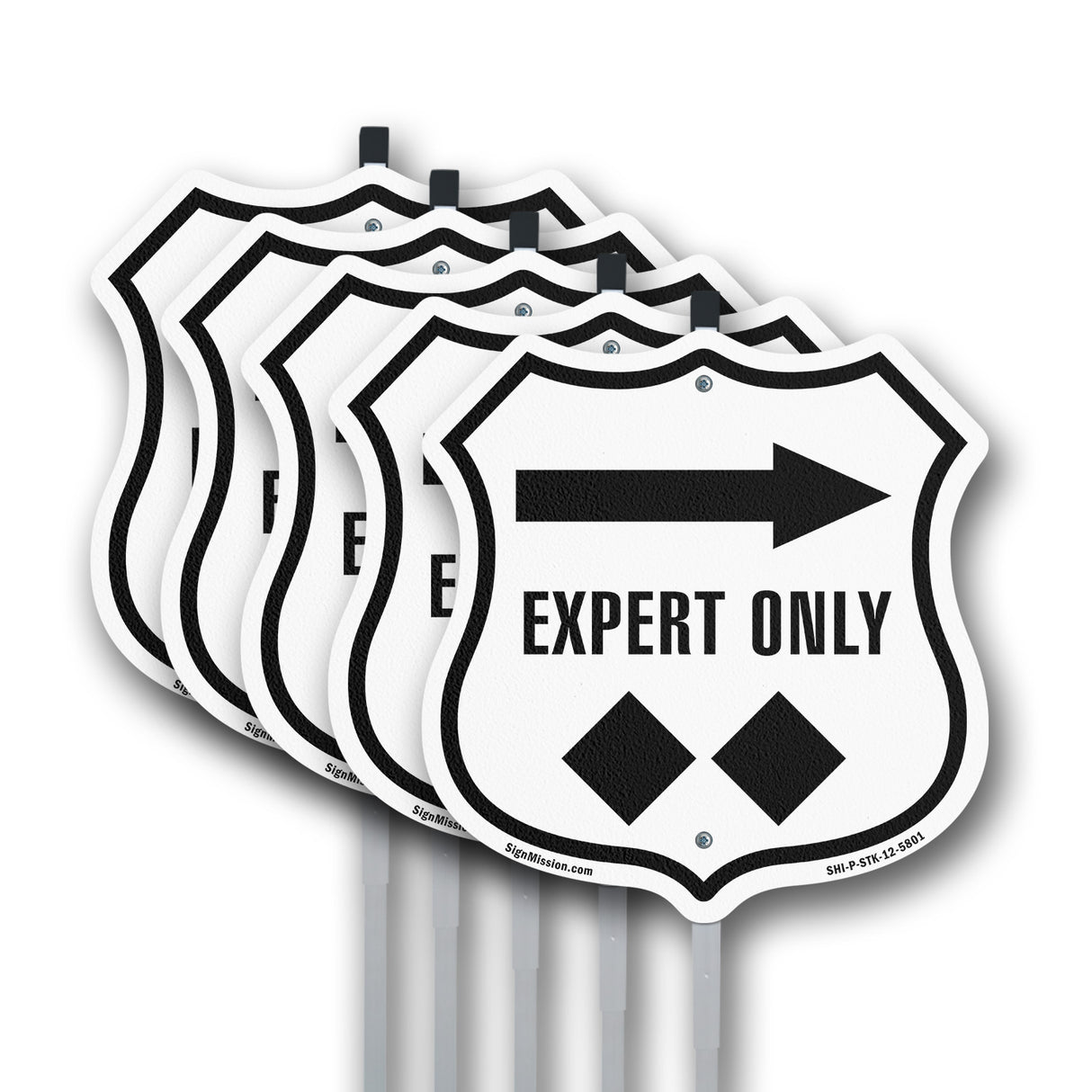 Expert Only Trail Ski Slope Right