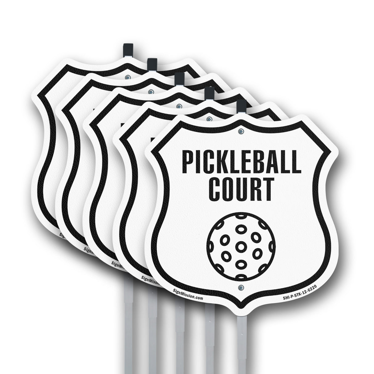 Pickleball Court