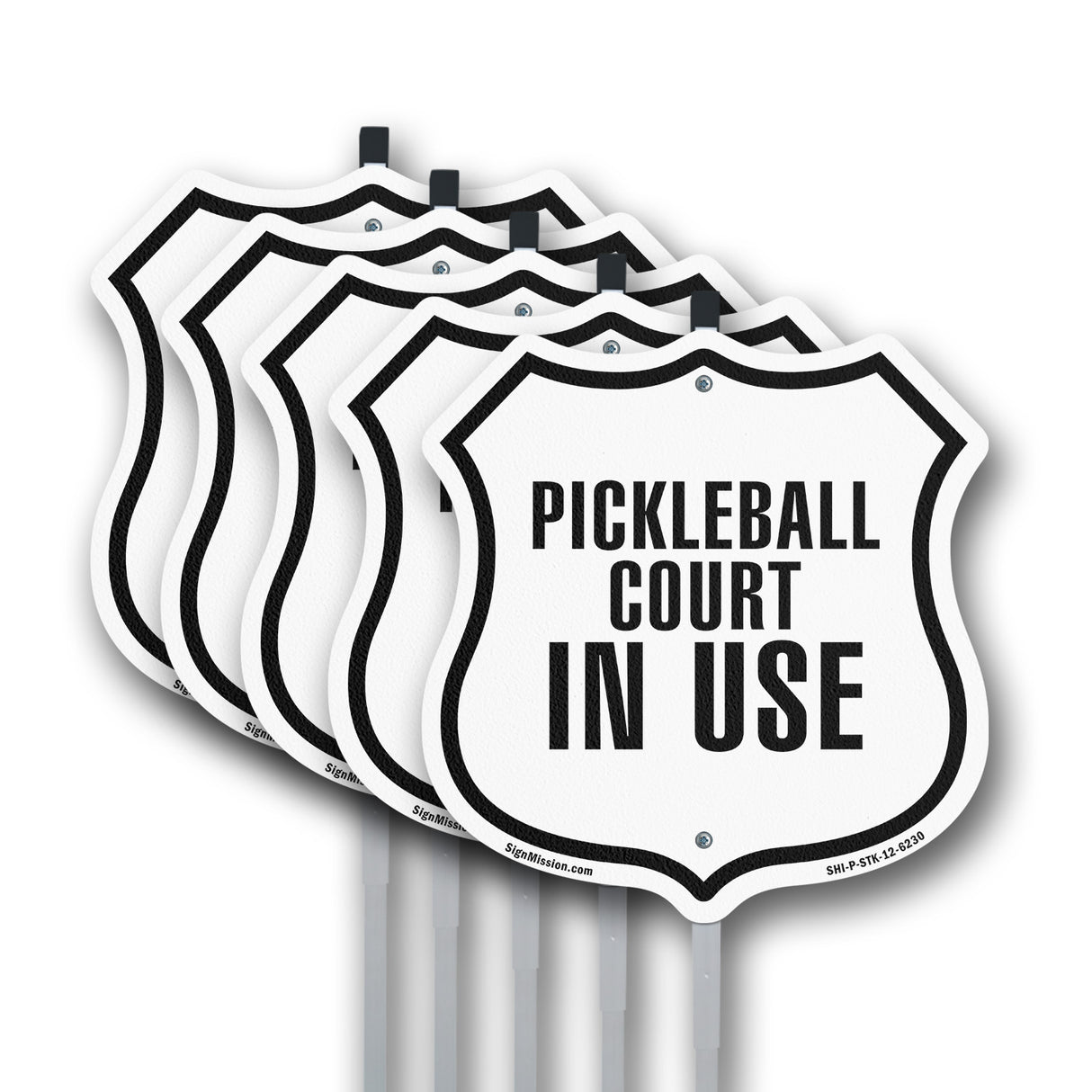 Pickleball court in Use