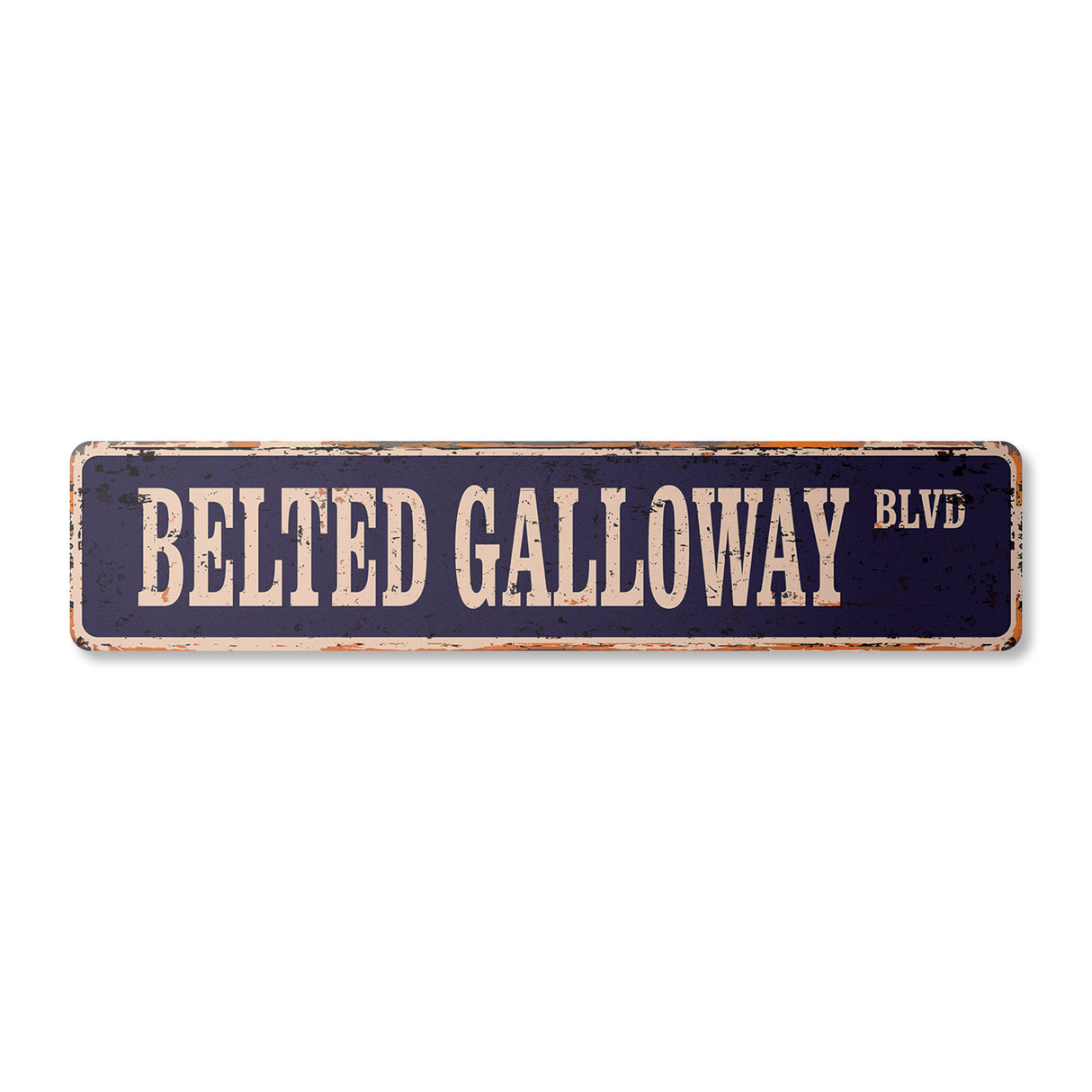 BELTED GALLOWAY