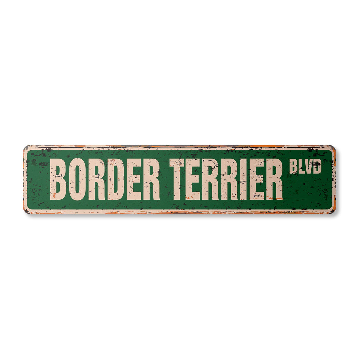 BORDER TERRIER
