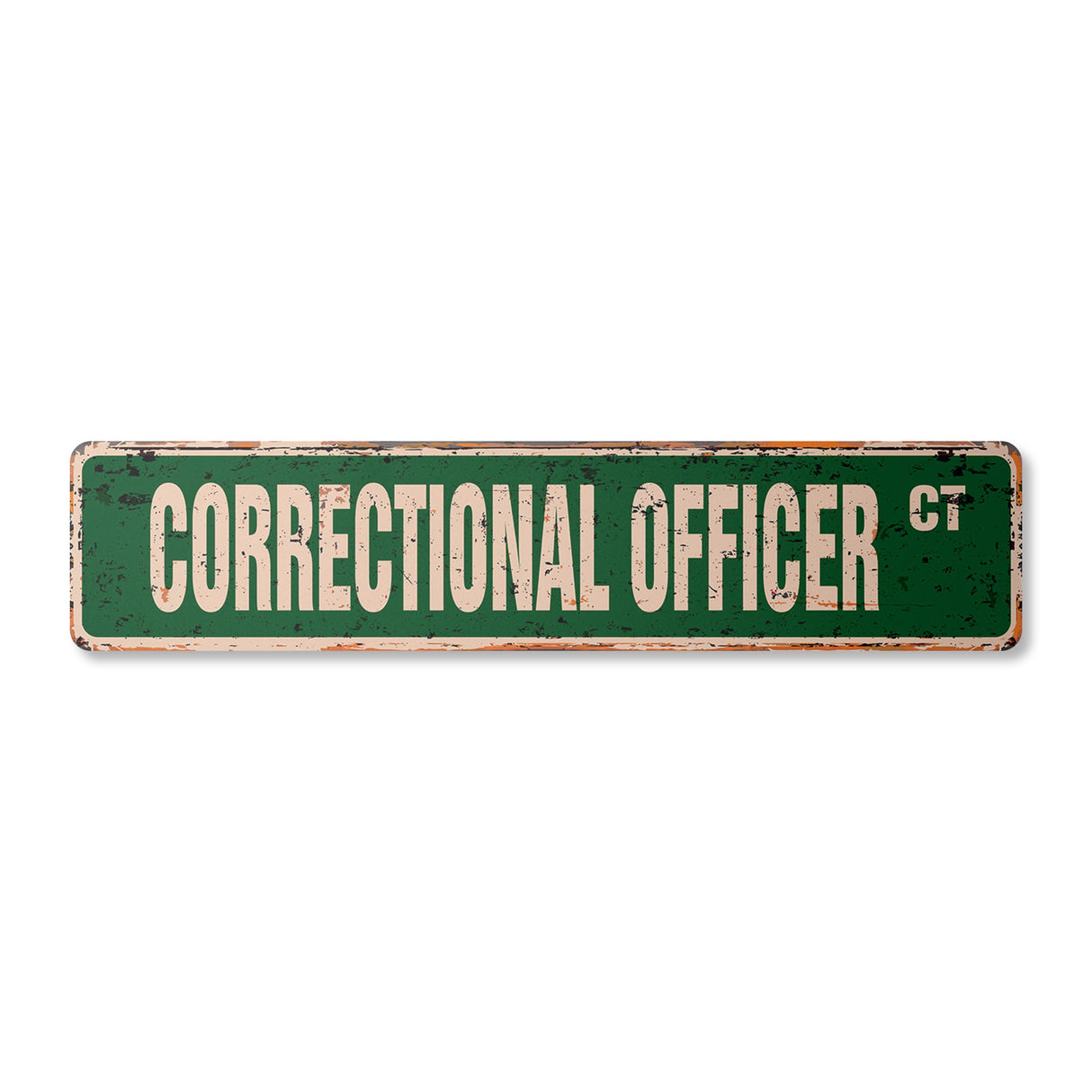 CORRECTIONAL OFFICER