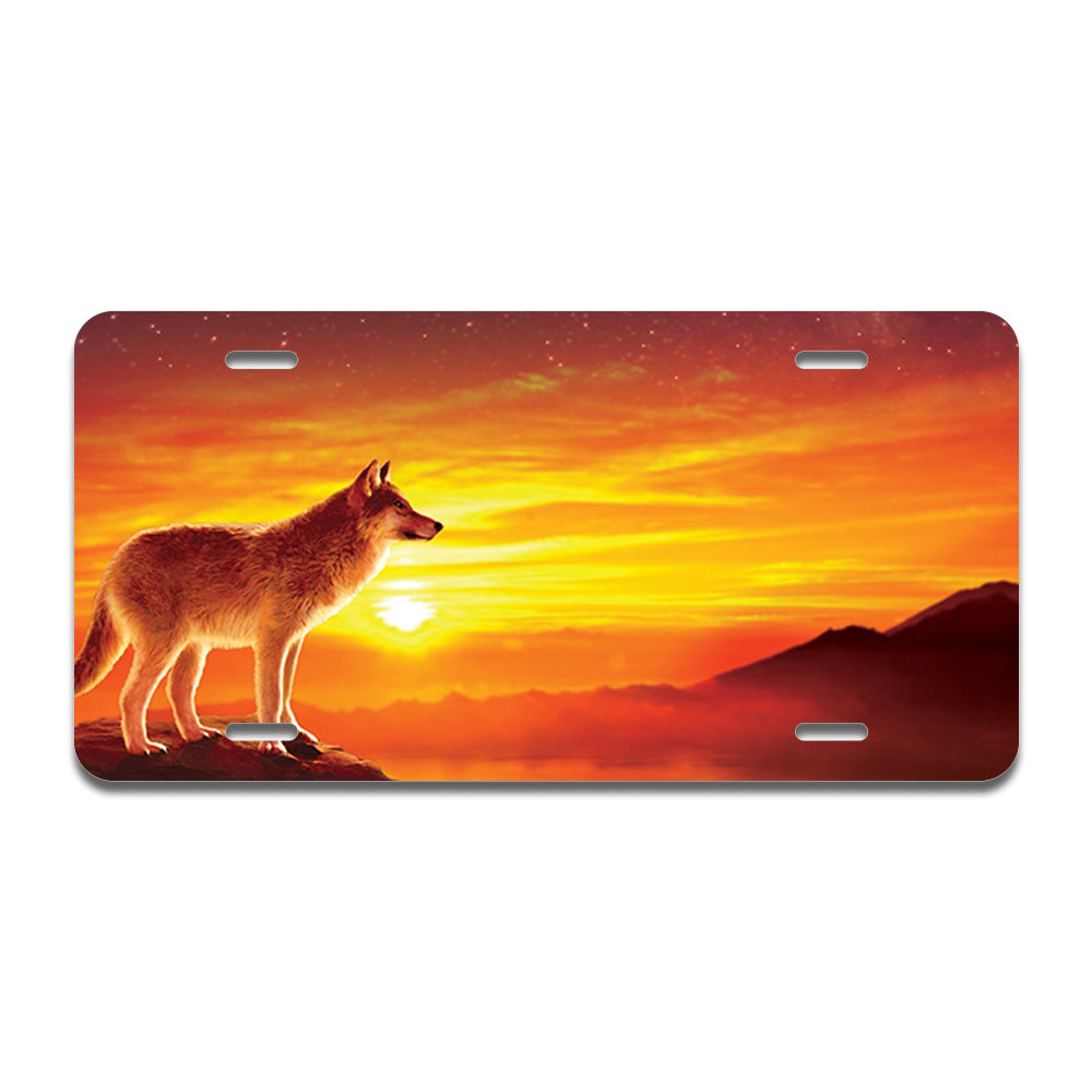 Sunset Wolf