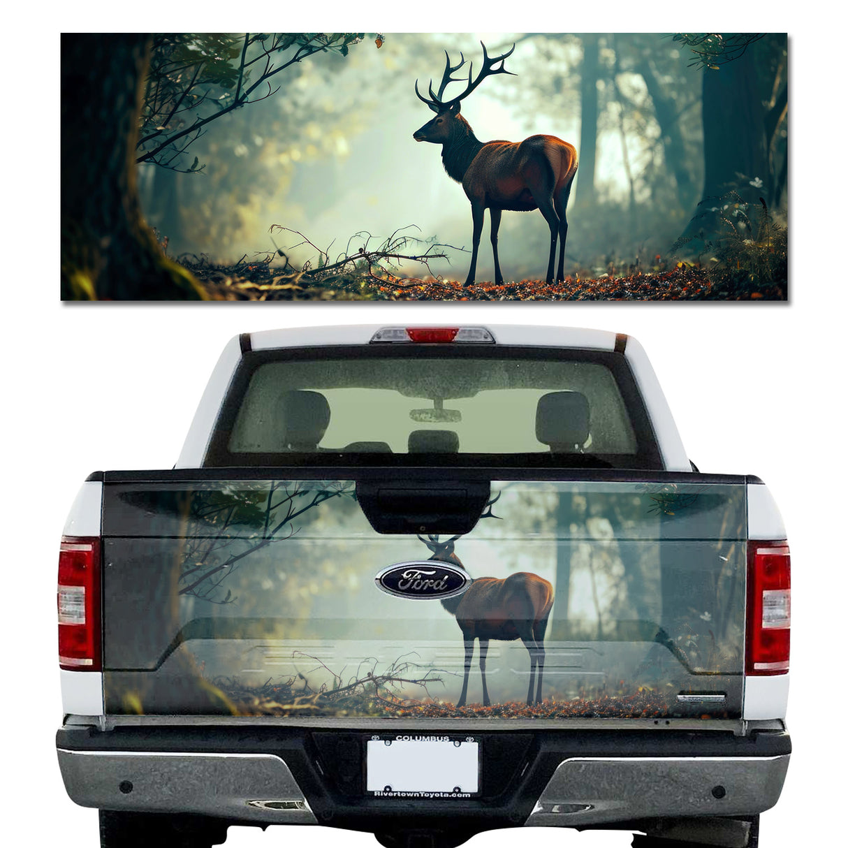 Deer in the Forest