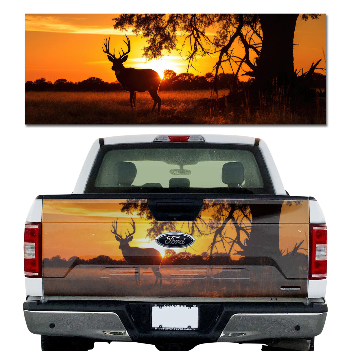Sunset Deer