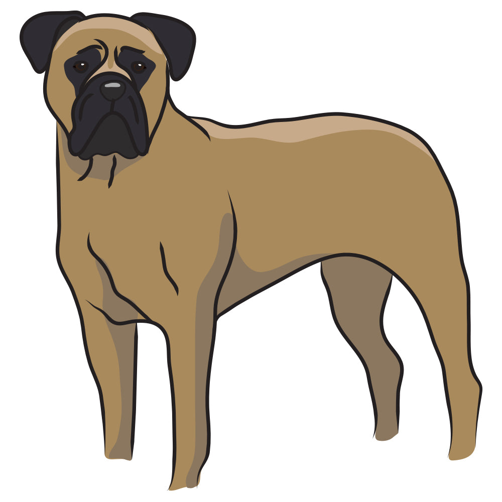 Bullmastiff Dog