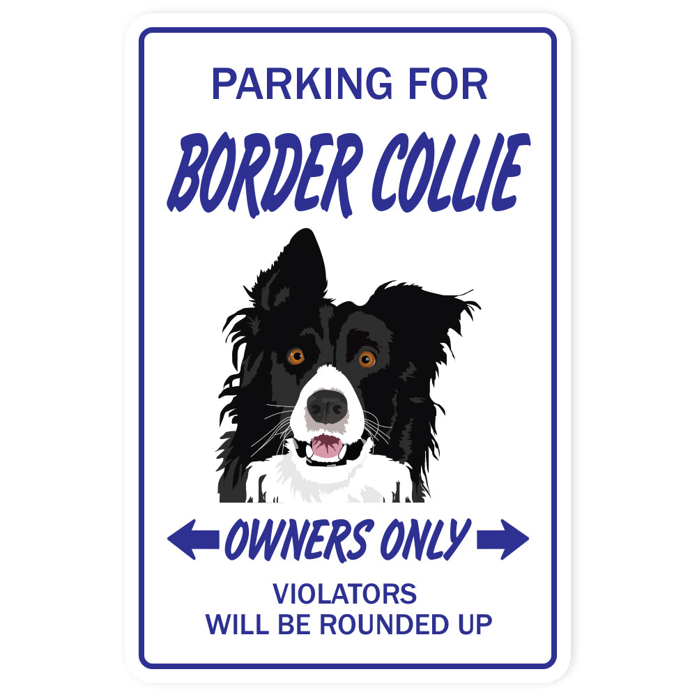 BORDER COLLIE Sign
